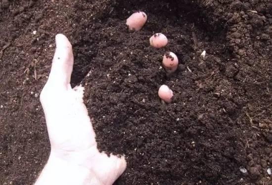 正确操作：记住这个口诀！