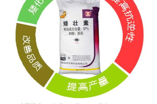 小麦矮壮素：它是个啥玩意儿？