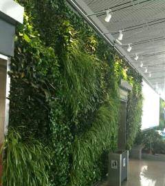 绿植围墙：绿色植物与建筑艺术的完美融合