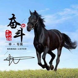 揭秘2021年黑马：白马毛尖茶的功效与魅力