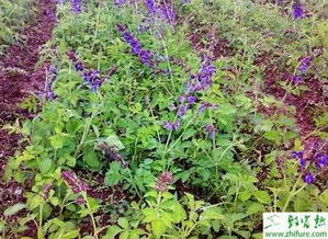 防冻措施要到位