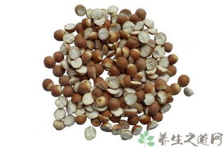 芡实补肾，食用方法多样