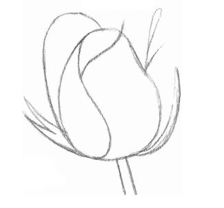 “复古玫瑰画法，先勾勒轮廓