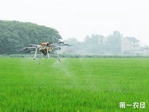 水中的农药到底多久会消失？我来告诉你！