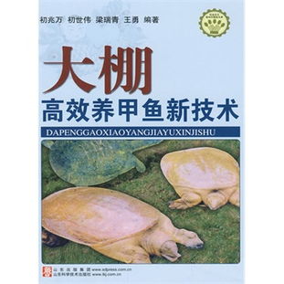 甲鱼高效养殖技术探析