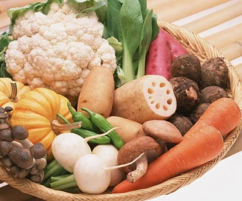 家庭养殖鸭子：精选食物指南，确保健康成长