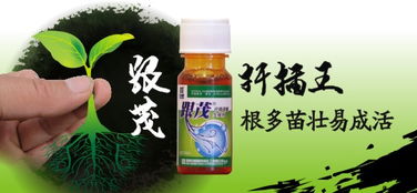 树莓种植，生根粉选哪款？