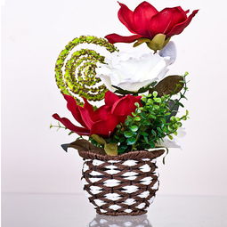 玫瑰花泡水插花，如何让美丽持久绽放？