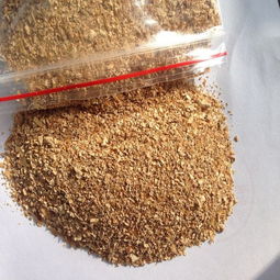 玉米胚芽粕能否在饲料中替代豆粕的一部分，实现全玉米替代？