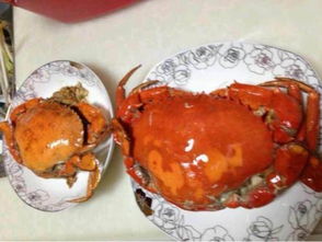 梭子蟹黄呈橙红色，富含营养