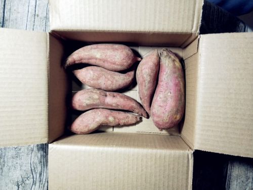 枣花蜜为何容易结晶？了解其特性与储存方法