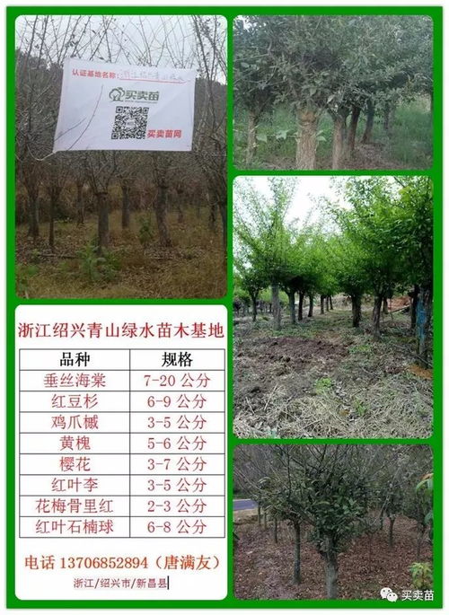 引进新品种， 丰富园林景观