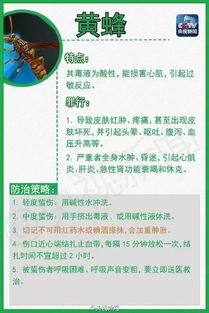 杨树心腐虫防治方法有哪些，如何有效预防杨树心腐虫的发生和蔓延