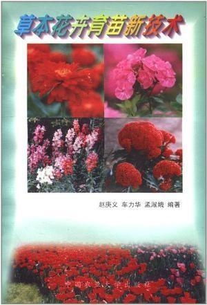 草木花儿的种植，密密麻麻还是稀稀拉拉？