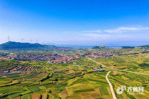 橡树种植，先堪气候