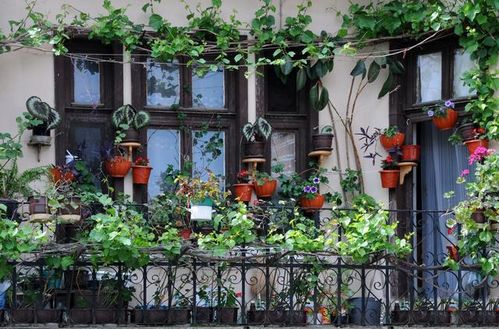 春天种花不梗好吗？