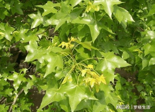 四、存储环节要注意