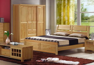 黑松木家具与黑松造型树