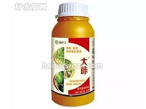 杀菌药的种类与选择