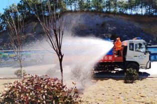 松土：让雪松呼吸顺畅