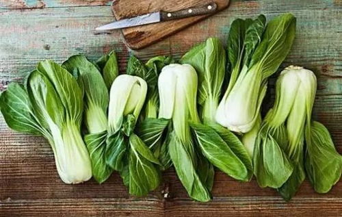 绿叶菜中的红花之谜