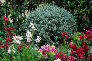 耐心等待， 花开有时