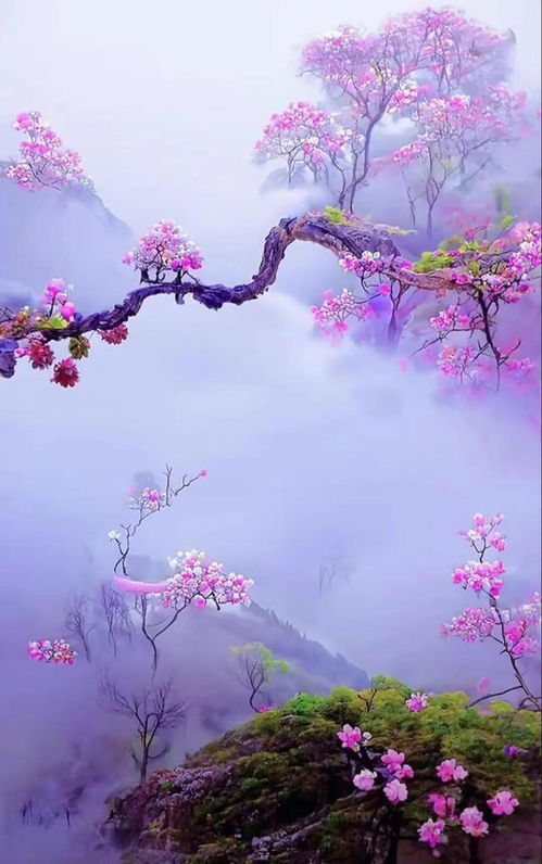 花草树木图片大全，高清壁纸