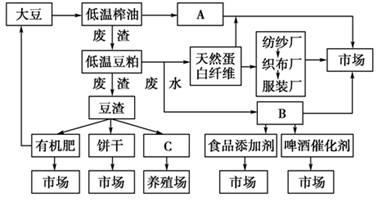 豆粕生产过程中，如何通过视频详细展示豆粕的提取和加工步骤？
