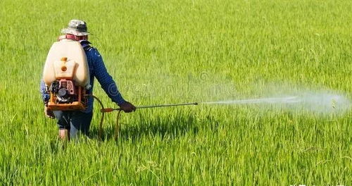 农药对眼睛的伤害