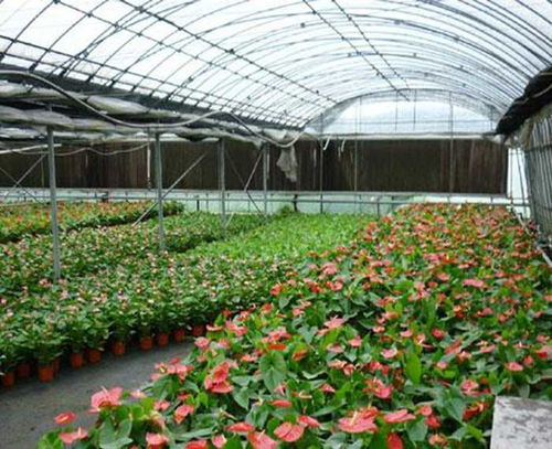 使用方法大揭秘