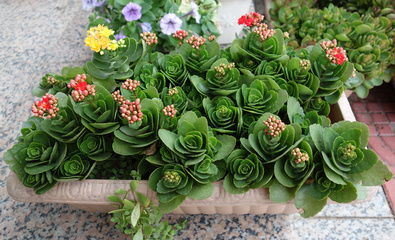 新手三大死亡操作