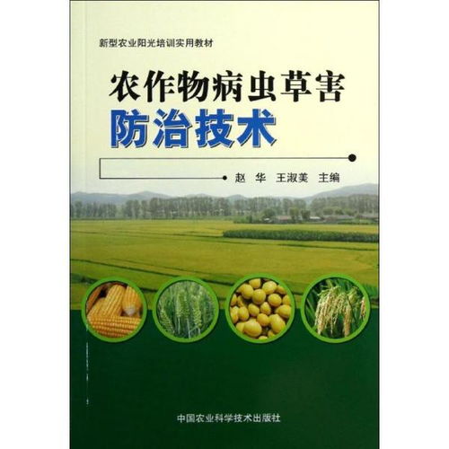 噻虫嗪：作物病虫害的“小Neng手”
