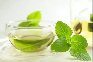 打造清新花园：柠檬水灌溉的五大要点