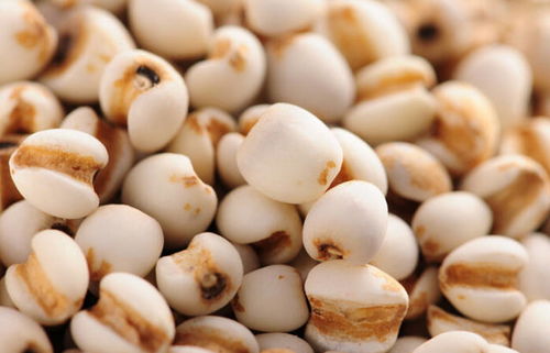 常见问题集中回答：