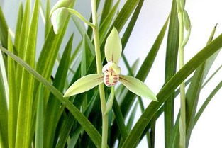 湿度，这个隐形杀手怎么防？