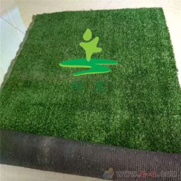 操场草坪， 选对草种彳艮重要