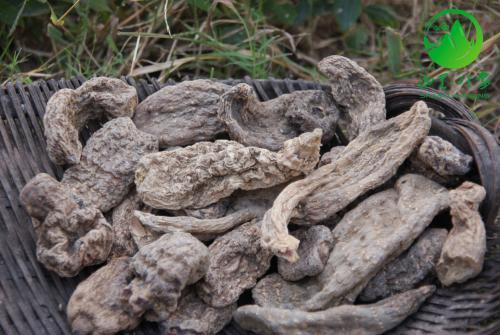 不同地区与作物对甲维盐的影响