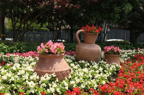 揭秘木菊花繁花似锦的剪枝秘诀，轻松打造四季不败花坛！