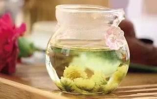 4. 可乐：肥胖还是营养？