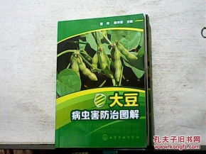 大豆田的主要虫害解析
