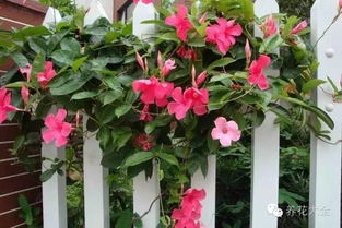 第一招：温度篇