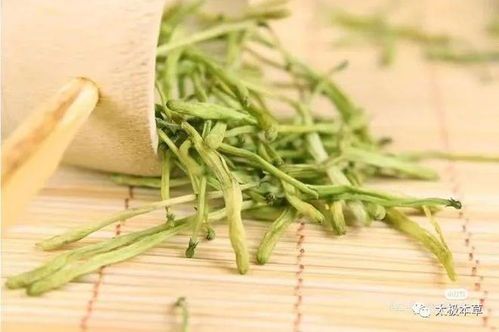 金银花茶虽好，喝前这些禁忌和副作用要知道吗