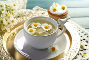 菊花茶功效显著，常饮菊花茶