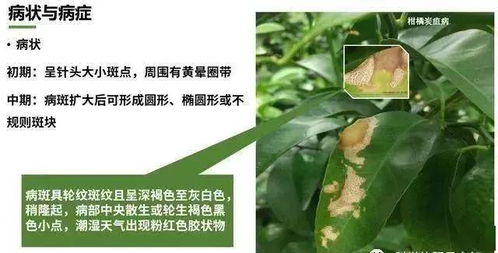 我咋记得这药名来着
