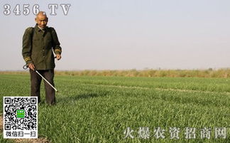 大田除草剂成分表中常见的小麦除草剂有哪些成分？