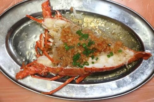 玳瑁，这个名字从何而来？