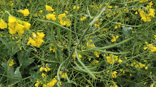 用户关心的问题