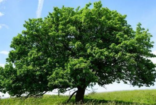 夏天要清凉， 冬天要保暖