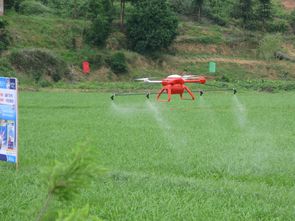无人机喷洒农药， 高效平安环保