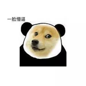 还来就菊花，老司机带你去哪